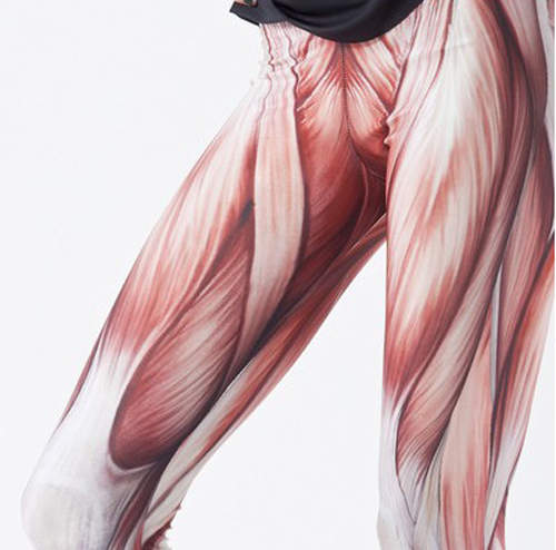 《肌肉綁腿褲》看我的大腿肌是如此的結實!!(用力) 《肌肉綁腿褲》看我的大腿肌是如此的結實!!(用力)