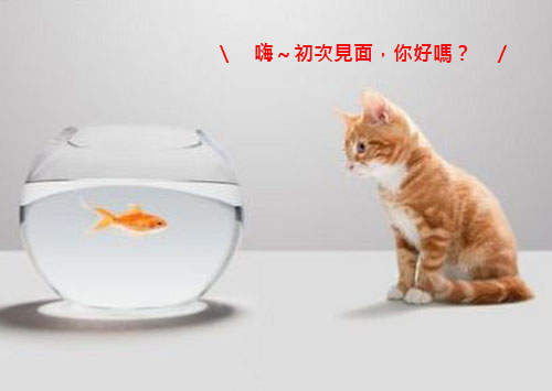 第一次聊天就上手！讓初次見面異性留下好印象的話題是...？？？