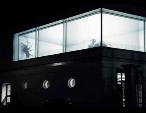 巨型蜘蛛投影效果 這真的是會嚇死人(抖)