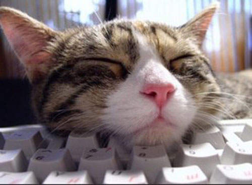 韓國鍵盤ㅋ的命運~下場怎麼這麼慘@_@