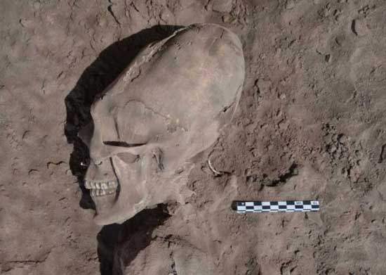 《異形頭骨》墨西哥發現拉長頭骨墳墓堆 《異形頭骨》墨西哥發現拉長頭骨墳墓堆