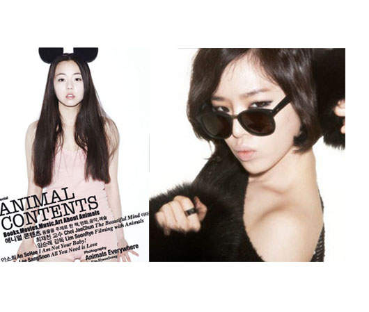 超有人氣的《單眼皮韓女星》都有誰呢?! 超有人氣的《單眼皮韓女星》都有誰呢?!