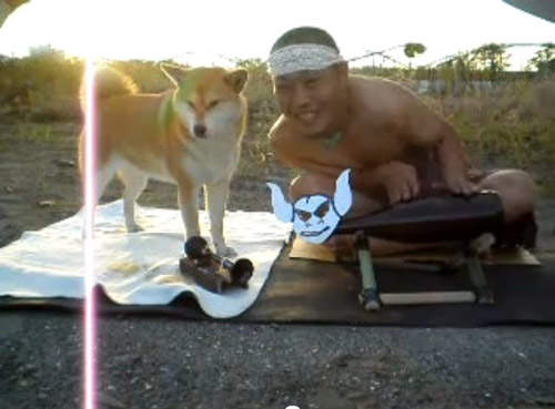 《無奈柴犬》還要配合主人奇怪的演出... 《無奈柴犬》還要配合主人奇怪的演出...