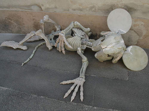 《米奇身體裡的秘密》原來玩偶裝裡面沒有人!? 《米奇身體裡的秘密》原來玩偶裝裡面沒有人!?