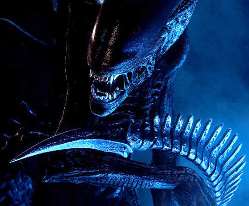 異型義肢 完成度超高的科幻恐怖道具 異型義肢 完成度超高的科幻恐怖道具