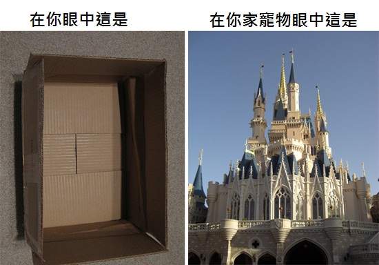 你所看到的...不一定就是動物所看到的 你所看到的...不一定就是動物所看到的