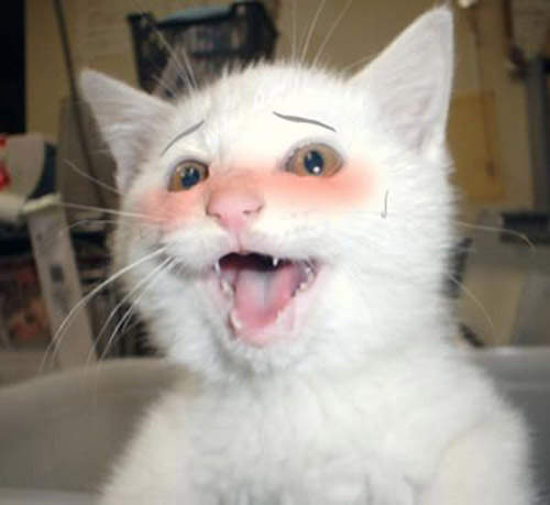 夜深了你醉了嗎？請先服下這款酒測App再上吧！