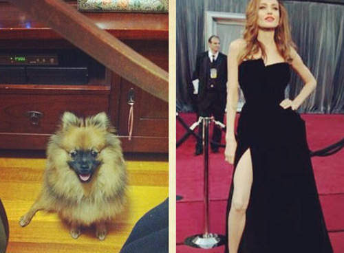 大腿還沒退燒！你也來裘莉一下吧～