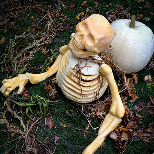 萬聖節快到了 是該讓南瓜們出來的時候了 萬聖節快到了 是該讓南瓜們出來的時候了