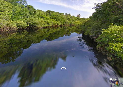 還等什麼各位!一起跟Google到「亞馬遜」探險啦! 還等什麼各位!一起跟Google到「亞馬遜」探險啦!