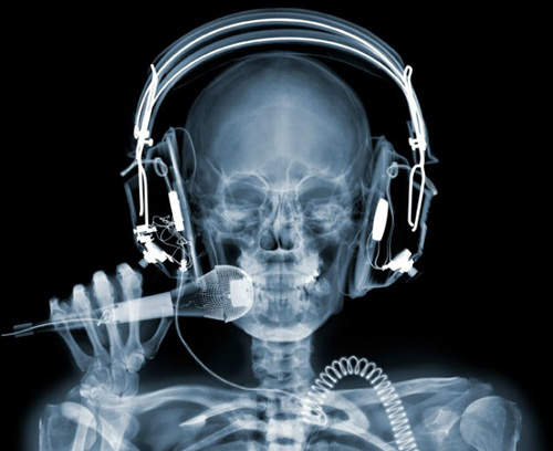 《X光透視藝術》帶你看穿事物深處的美麗~ 《X光透視藝術》帶你看穿事物深處的美麗~