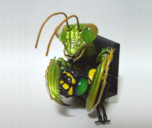 正面Shock！「昆蟲顏面圖鑑」這太衝擊我買不下去...