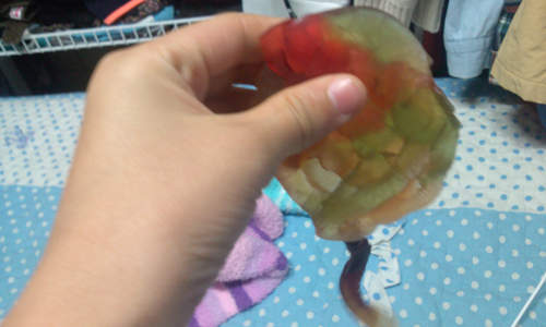 《魟魚QQ軟糖》真的可以吃嗎？！