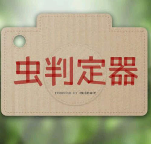 蟲蟲判定APP 把拍到的蟲放到手機相簿裡作成小百科吧！