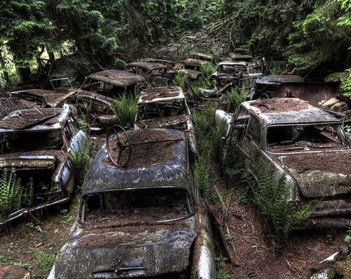 比利時汽車墓地 上百輛的汽車就像是骸骨般倒臥在地上 比利時汽車墓地 上百輛的汽車就像是骸骨般倒臥在地上