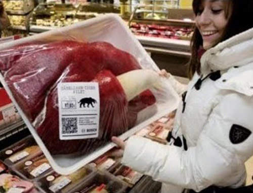 恐龍肉的味道 到底吃什麼東西的恐龍肉質最好吃呢? 恐龍肉的味道 到底吃什麼東西的恐龍肉質最好吃呢?