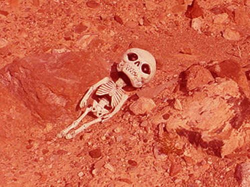 30年前人類在火星上發現生命...不!看錯了~是好大一頭大象? 30年前人類在火星上發現生命...不!看錯了~是好大一頭大象?