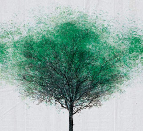 創意《環保廣告》~用你的腳步種出一棵樹