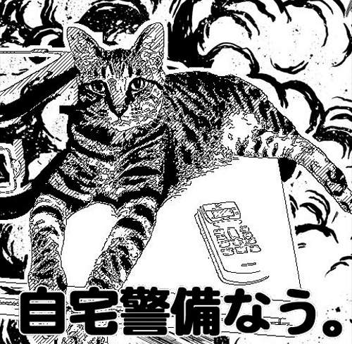 《漫畫相機 App》日本網友拍出存在感滿點的貓主題！