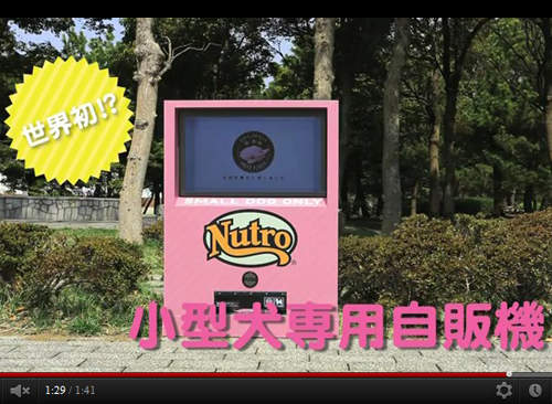 《小型犬專用自動販賣機》狗狗也可以自己買飼料囉！