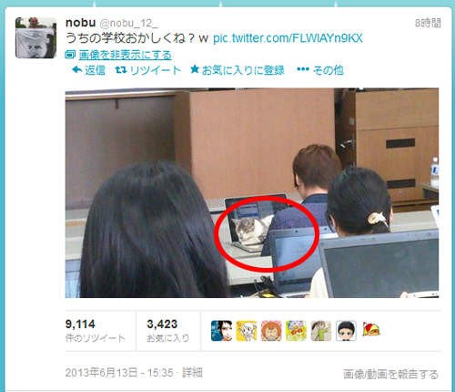 貓的大學?課堂上還有貓咪陪你一起聽課喵~(=^・^=)  貓的大學?課堂上還有貓咪陪你一起聽課喵~(=^・^=)