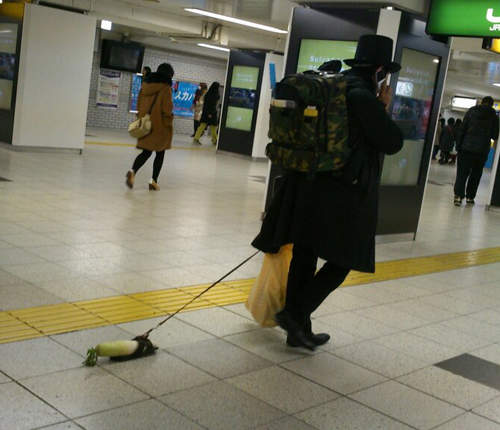 《大根散步男》穿上拖鞋的大根它的目的地是...？