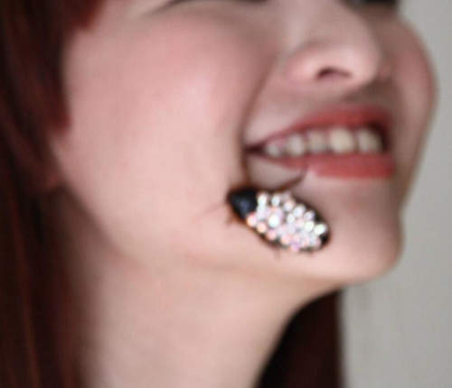 《蟑螂貼鑽》小強你有真心想要這麼閃釀釀嗎？（遞mic）