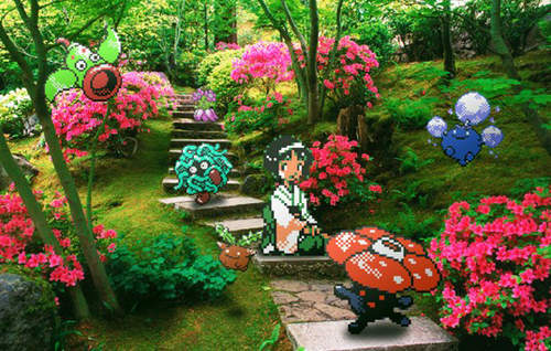 當《神奇寶貝跑到現實世界》他們又會在哪裡生活呢？