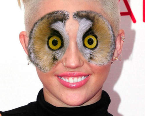 《明星與貓頭鷹眼》感覺似乎好像沒甚麼違和感～XD