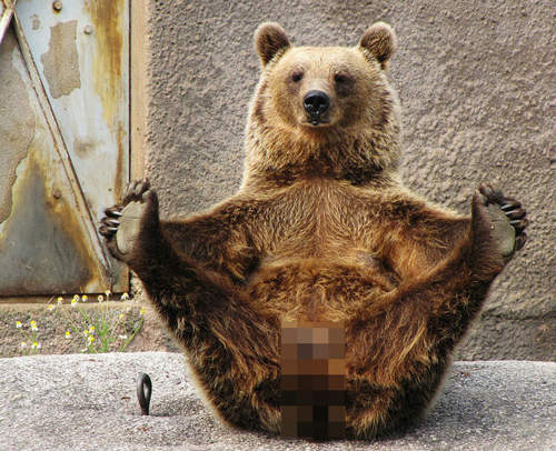 《好客熊》向你揮手是因為?( ̄(エ) ̄)ノ 《好客熊》向你揮手是因為?( ̄(エ) ̄)ノ