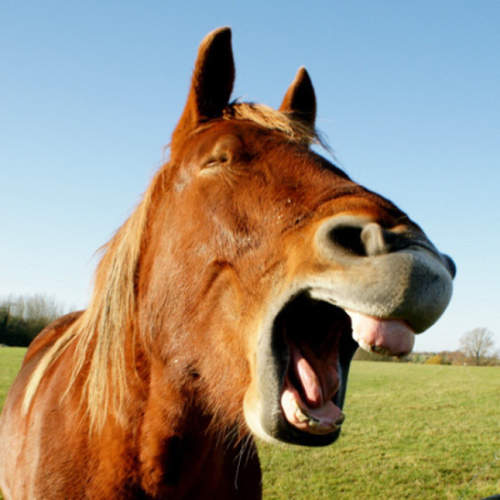 《一大笑就破功》對白馬王子的幻想瞬間毀滅