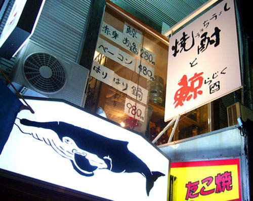 《日本愛吃鯨魚肉》卡友們吃得下去嗎? 《日本愛吃鯨魚肉》卡友們吃得下去嗎?