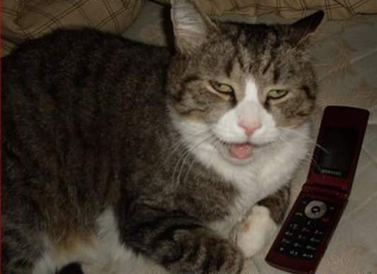 《醉後簡訊II》別再說「其實我沒醉」了(指)