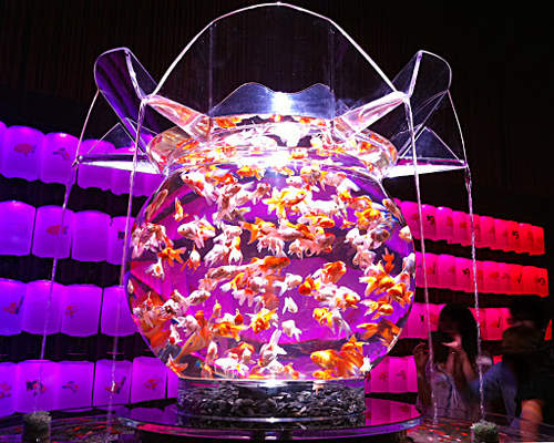 超華麗《5000隻金魚亂舞》不看後悔的日本展覽 超華麗《5000隻金魚亂舞》不看後悔的日本展覽