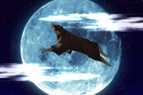 《遊戲界最忠實的狗兒朋友》人類&忠犬合作無間 《遊戲界最忠實的狗兒朋友》人類&忠犬合作無間