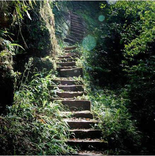 超感人《愛情天梯》結果現在垃圾滿地......T^T 超感人《愛情天梯》結果現在垃圾滿地......T^T