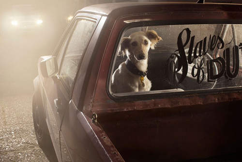 《孤獨狗狗》你捨得讓我一隻狗待在車裡嗎～汪～