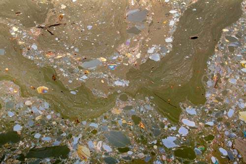 美國《髒髒運河》攝影集 這未免也太噁心...... 美國《髒髒運河》攝影集 這未免也太噁心......