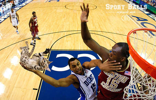 PS熱潮《把球換成貓》喵喵表示:還不給朕跑快點~ PS熱潮《把球換成貓》喵喵表示:還不給朕跑快點~