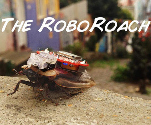 「RoboRoach」哀鳳遙控蟑螂 趕快收服屬於你的神奇寶貝吧(驚!?) 「RoboRoach」哀鳳遙控蟑螂 趕快收服屬於你的神奇寶貝吧(驚!?)