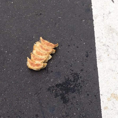 颱風吹來的天外飛物　還真的什麼都有什麼都不奇怪啊wwww