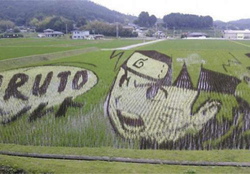 《日本田畫》沒想到連種田都可以這麼有趣 (嘆) 《日本田畫》沒想到連種田都可以這麼有趣 (嘆)