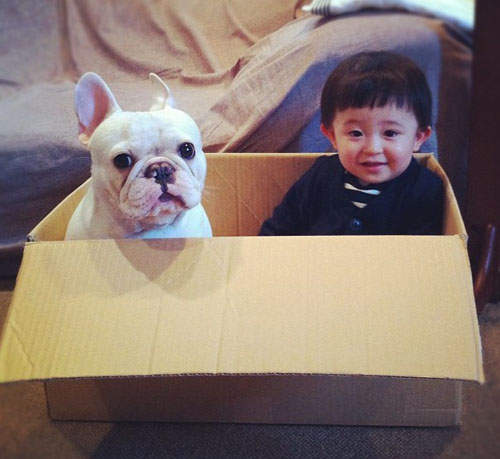 日本《小男孩與鬥牛犬》  他們真的好卡哇依ㄋㄟ