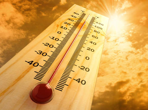 《熱死融化照》動物們也受不了啦～（汗）