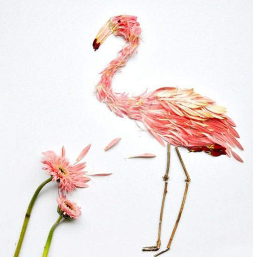 《花瓣鳥》風一吹鳥兒也會起飛? 《花瓣鳥》風一吹鳥兒也會起飛?