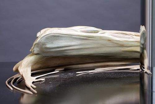 《鏡面變形藝術》長的好奇怪喔～看不懂這是甚麼啦～