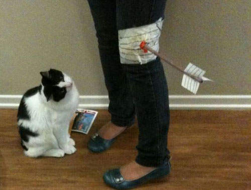 《生活悲劇》人生道路上就是充滿了杯具..