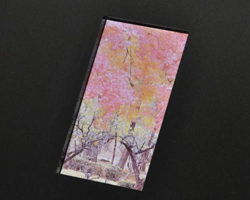 傳Sharp夏普將發表「超越1080p」的超強6.1吋新機!? 傳Sharp夏普將發表「超越1080p」的超強6.1吋新機!?