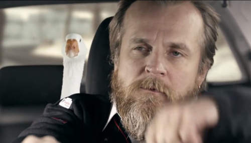 《導盲犬的重要性》別再把牠們拒於千里之外了ಥ_ಥ