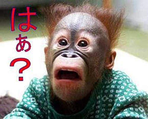 光聽名字就好好笑的《怪地名 TOP 10》